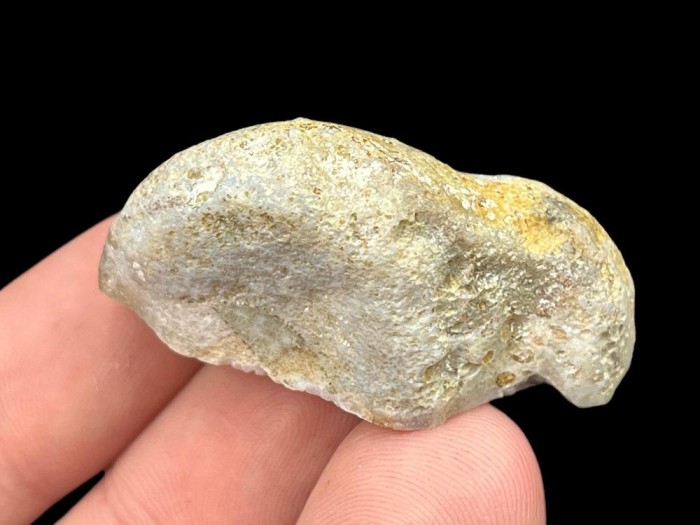 agat jasny 11_1.jpg