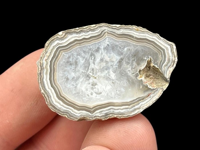 agat jasny 42_2.jpg