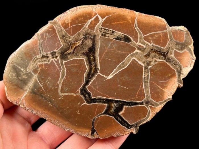 Septaria, kolekcja, kolekcjonerski, Nowy Kościół, Dolnyśląsk minerały, kamienie naturalne, dekoracja (13).jpg