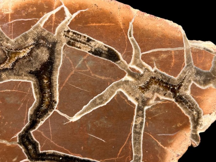 Septaria, kolekcja, kolekcjonerski, Nowy Kościół, Dolnyśląsk minerały, kamienie naturalne, dekoracja (20).jpg