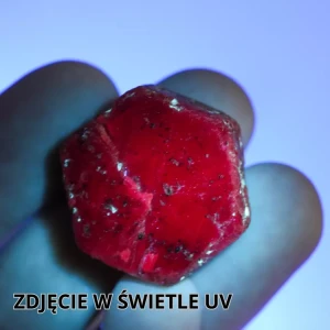 2 (Copy).webp