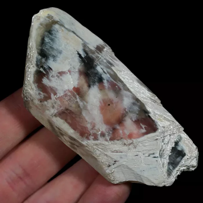 gips-dobrzyn-krysztal-duzy-naturalny-mineraly-polski (19) (Copy).webp