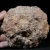 agat-z-nowego-kosciola-lato-agatowe (2) (Copy).webp