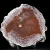 agat-z-nowego-kosciola-lato-agatowe (7) (Copy).webp