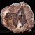 agaty-z-nowego-kosciola-polowka-kolekcja-sarul (35) (Copy).webp