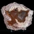 agaty-z-nowego-kosciola-polowka-kolekcja-sarul (1) (Copy).webp