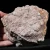 agaty-z-nowego-kosciola-polowka-kolekcja-sarul (2) (Copy).webp