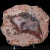 agaty-z-nowego-kosciola-polowka-kolekcja-sarul (37) (Copy).webp