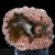 agaty-z-nowego-kosciola-polowka-kolekcja-sarul (41) (Copy).webp