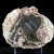 agaty-z-nowego-kosciola-polowka-kolekcja-sarul (13) (Copy).webp
