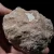 DSC06191 (Copy).webp