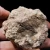 DSC06321 (Copy).webp