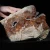 DSC06420 (Copy).webp