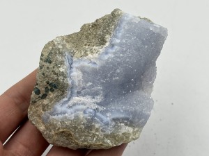 IMG_3527.JPG