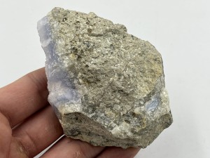 IMG_3528.JPG
