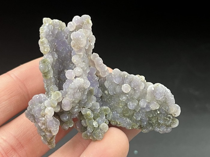 IMG_3926.JPG