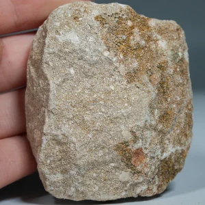 skamienialy-zab-rekina-skamieliny-naturalne (11) (Copy).webp