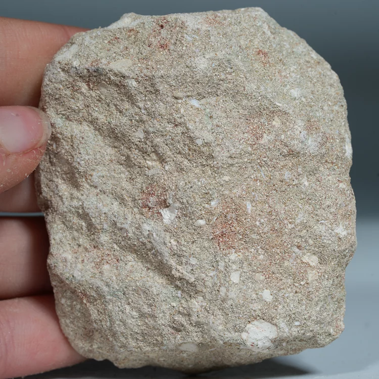 skamienialy-zab-rekina-skamieliny-naturalne (26) (Copy).webp