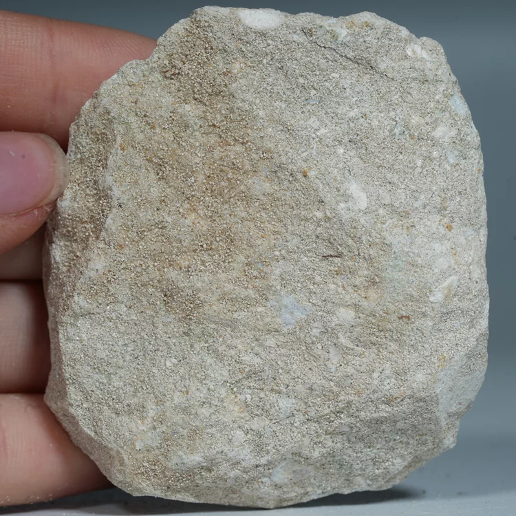 skamienialy-zab-rekina-skamieliny-naturalne (35) (Copy).webp