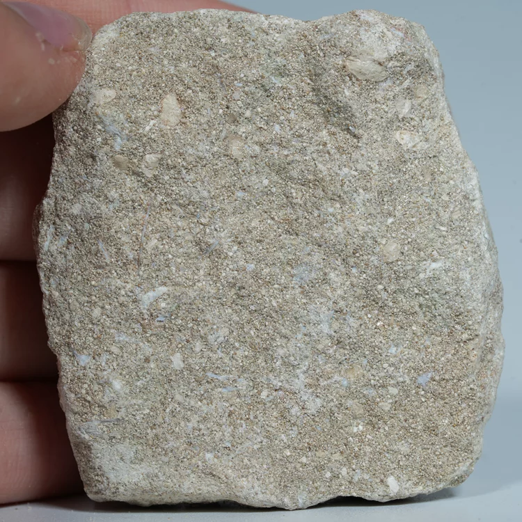 skamienialy-zab-rekina-skamieliny-naturalne (59) (Copy).webp