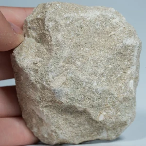 skamienialy-zab-rekina-skamieliny-naturalne (65) (Copy).webp