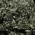 piryt-zloty-kamien-naturalny-pirytowe (70).webp