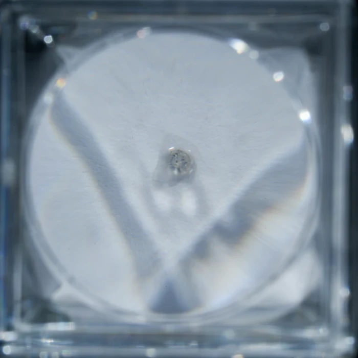 prawdziwy-diament-z-afryki-naturalny (1).webp