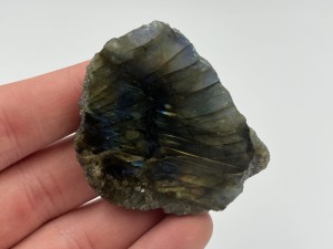 IMG_4408.JPG