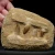 skamieniale-zeby-rekina-maroko (23).webp