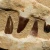 skamieniale-zeby-rekina-maroko (2).webp