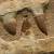 skamieniale-zeby-rekina-maroko (20).webp