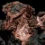 miedz-rodzima-naturalna-usa (14).webp