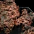 miedz-rodzima-naturalna-usa (33).webp