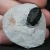 trylobit-z-maroka-maly-naturalny (15).webp