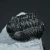 trylobit-z-maroka-maly-naturalny (23).webp