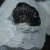 trylobit-z-maroka-maly-naturalny (31).webp