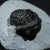 trylobit-z-maroka-maly-naturalny (33).webp