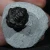 trylobit-z-maroka-maly-naturalny (34).webp