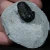 trylobit-z-maroka-maly-naturalny (42).webp