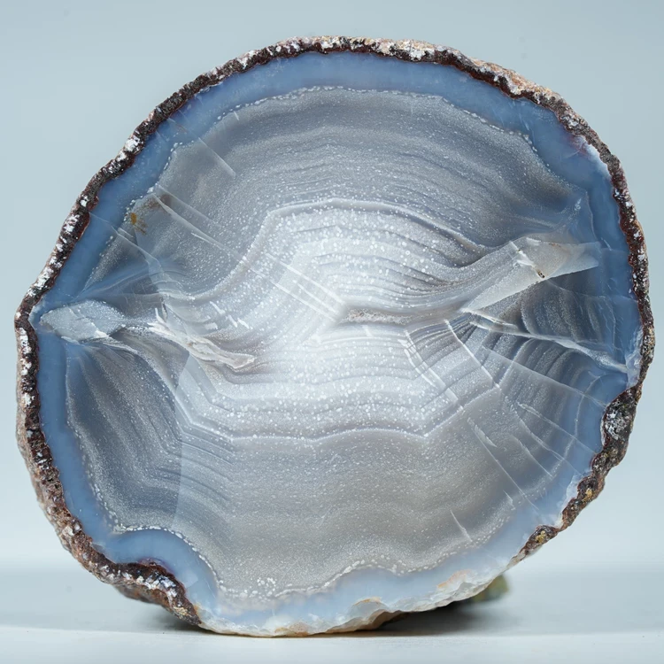 agat-z-meksyku-calandria-mexico (1).webp