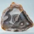 agat-z-meksyku-calandria-mexico (45).webp
