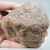 agat-z-meksyku-calandria-mexico (46).webp