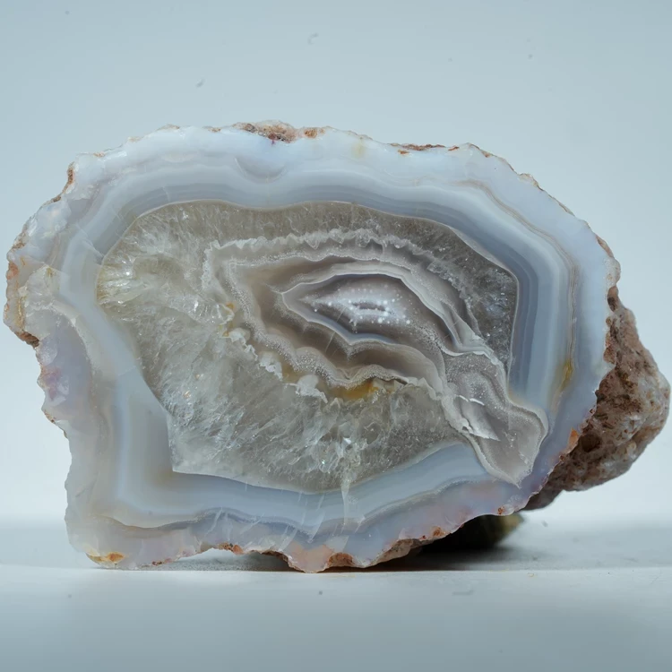 agat-z-meksyku-calandria-mexico (15).webp