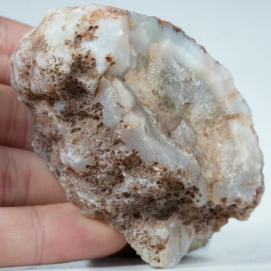 agat-z-meksyku-calandria-mexico (16).webp