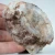 agat-z-meksyku-calandria-mexico (16).webp