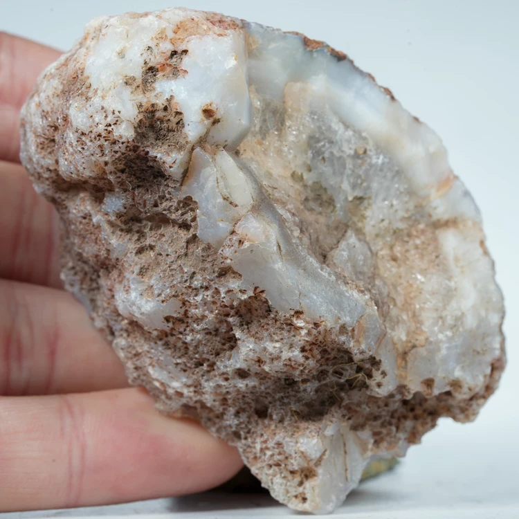 agat-z-meksyku-calandria-mexico (16).webp
