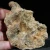 skamienialy-koralowiec-z-maroka-skamienialosci (20).webp