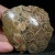 skamienialy-koralowiec-z-maroka-skamienialosci (52).webp
