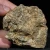 skamienialy-koralowiec-z-maroka-skamienialosci (56).webp