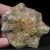 skamienialy-koralowiec-z-maroka-skamienialosci (10).webp